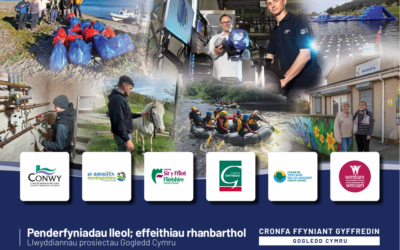 Dogfen Dathlu yn dangos sut y gall Penderfyniadau Lleol arwain at Effaithiau Rhanbarthol