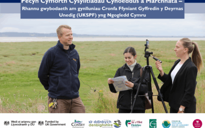 Cyhoeddi Pecyn Cymorth Marchnata a Chyhoeddusrwydd